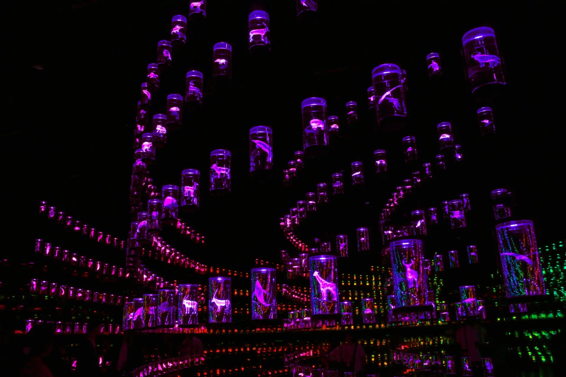 Illuminated installation inside the Museum of the Future in Dubai with glowing holographic animal specimens in glass cylinders