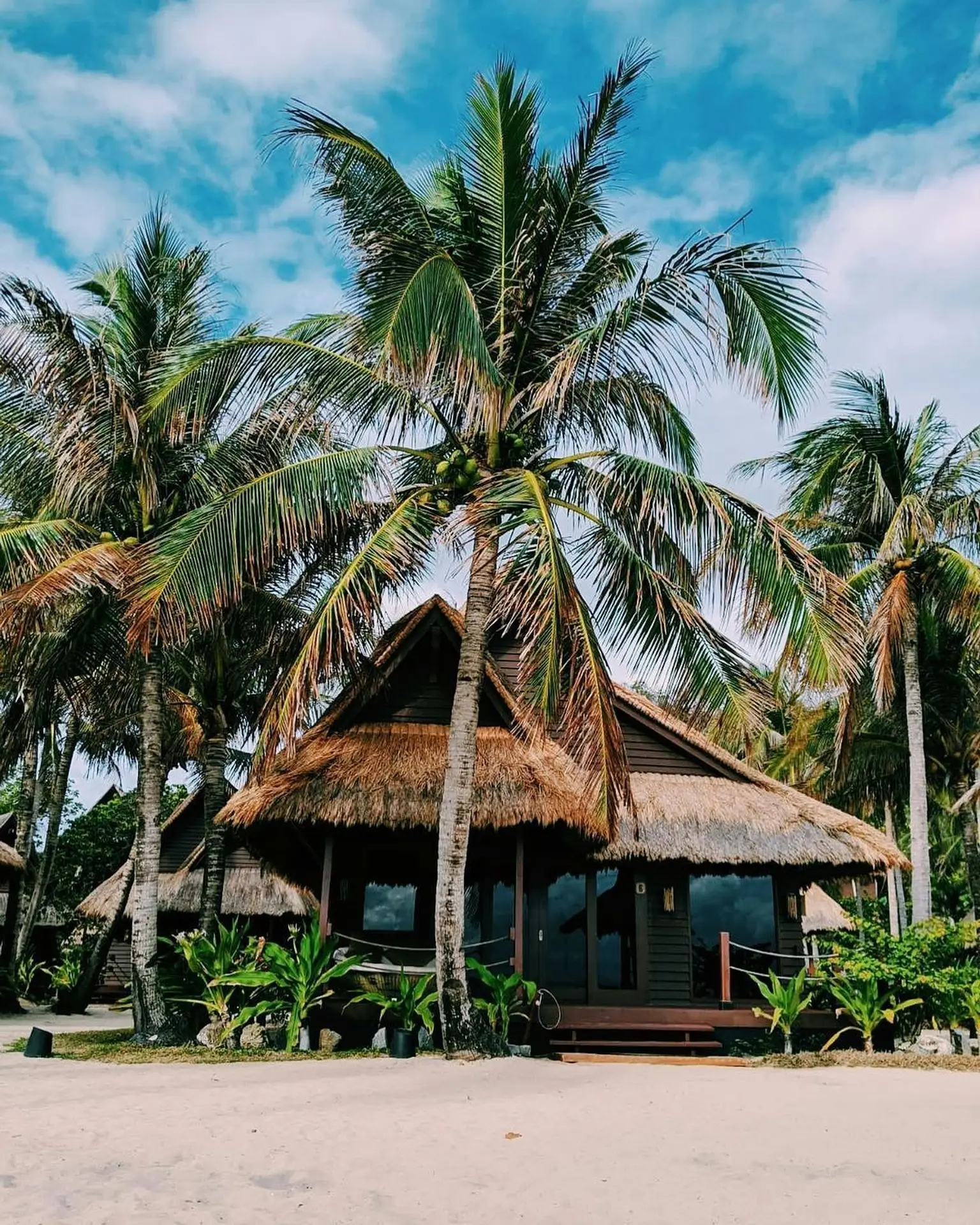 A thatched-roof beachfront villa at Cauayan Boutique Private Island, framed by coconut palms on the white sand beach