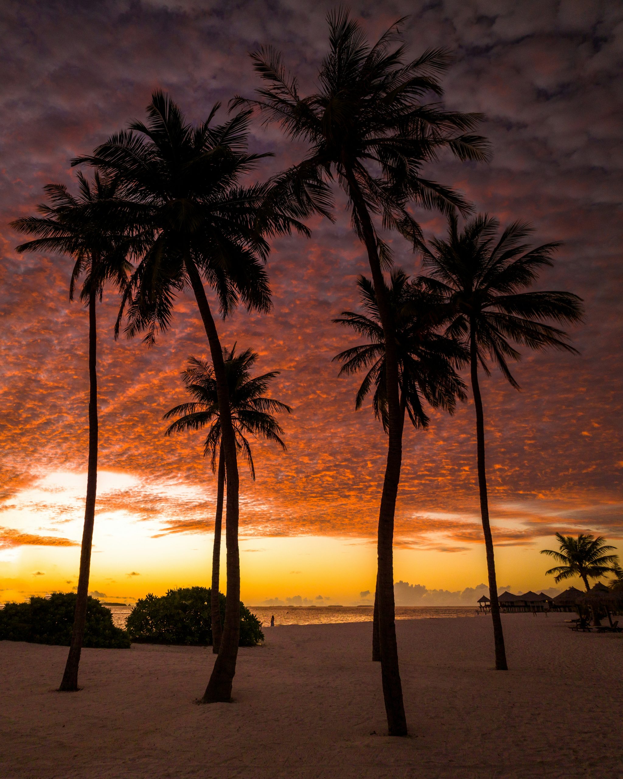  Dramatic orange and purple sunset over a Maldives resort beach with coconut palm silhouettes and overwater villas visible in the distance
