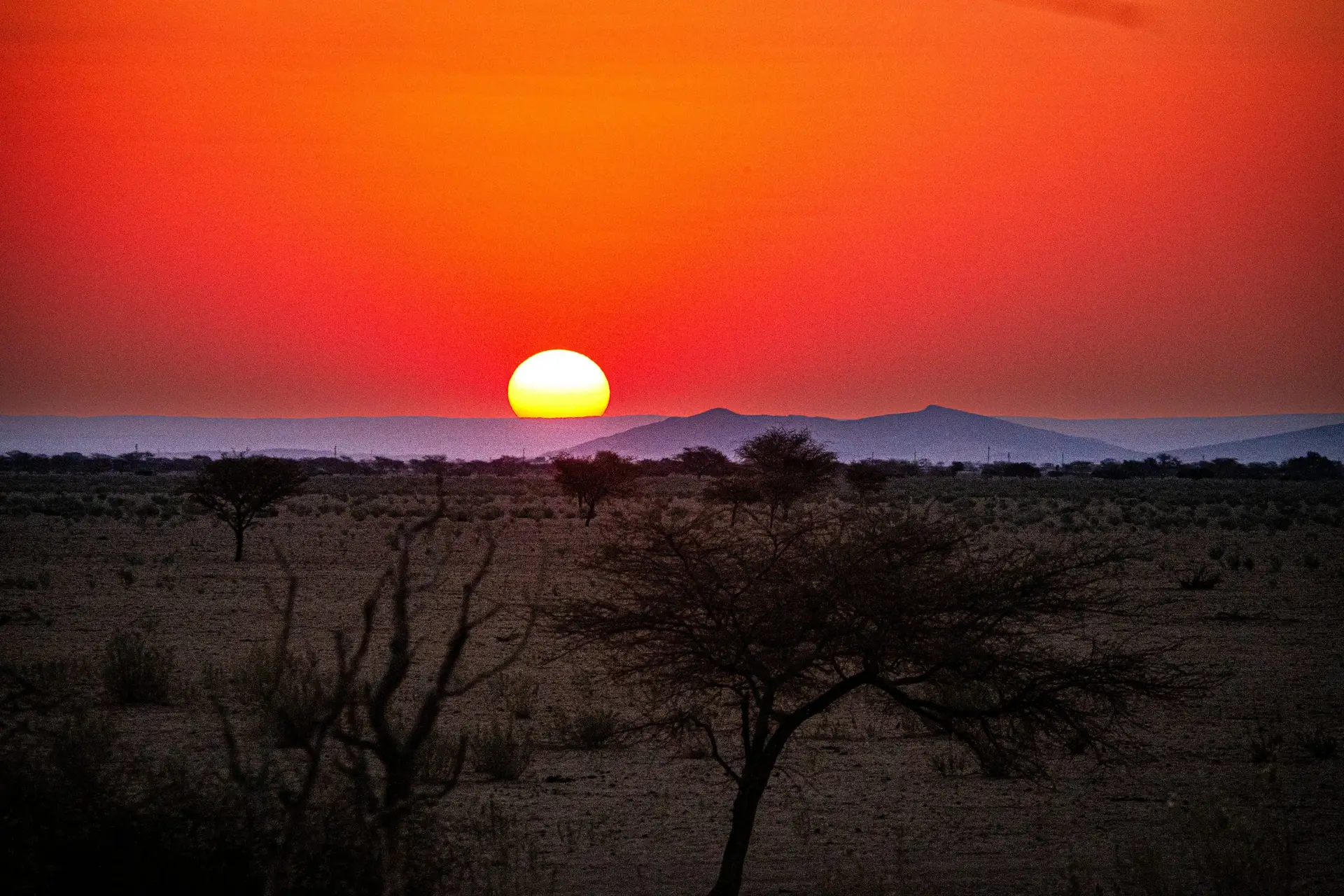 Sunset over the Namibian savannah with scattered acacia trees silhouetted against a deep red sky and distant mountains