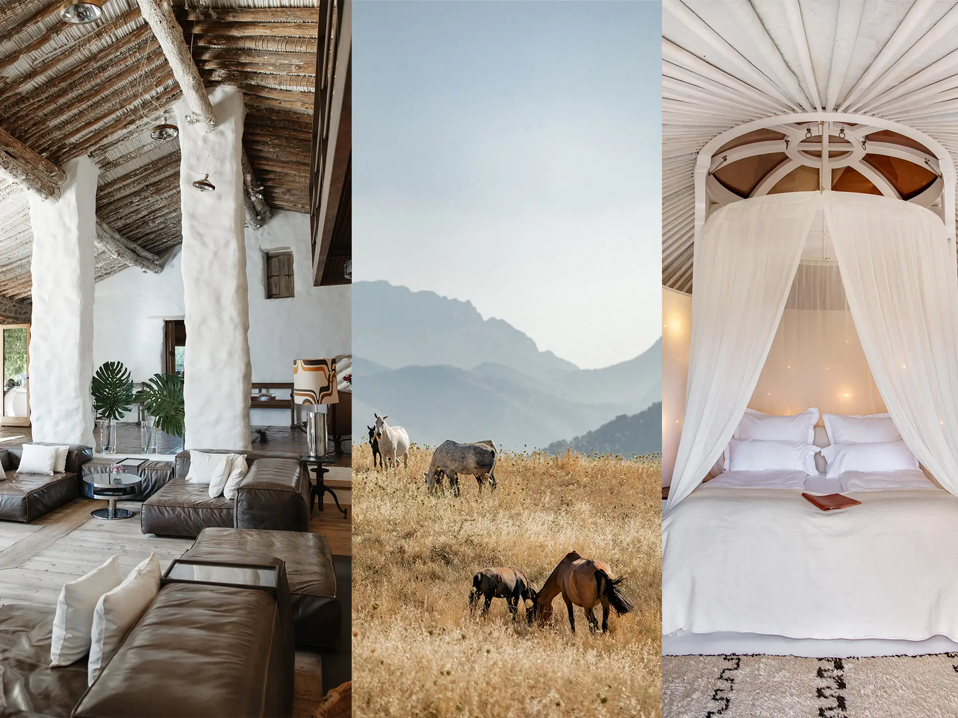 Farm-to-Table Luxury Hotels 2026: Inside Hospitality's Quiet Revolution 5 La Donaira Andalusia biodynamic estate - main lounge with whitewashed beams Lusitano horses and canopy bedroom