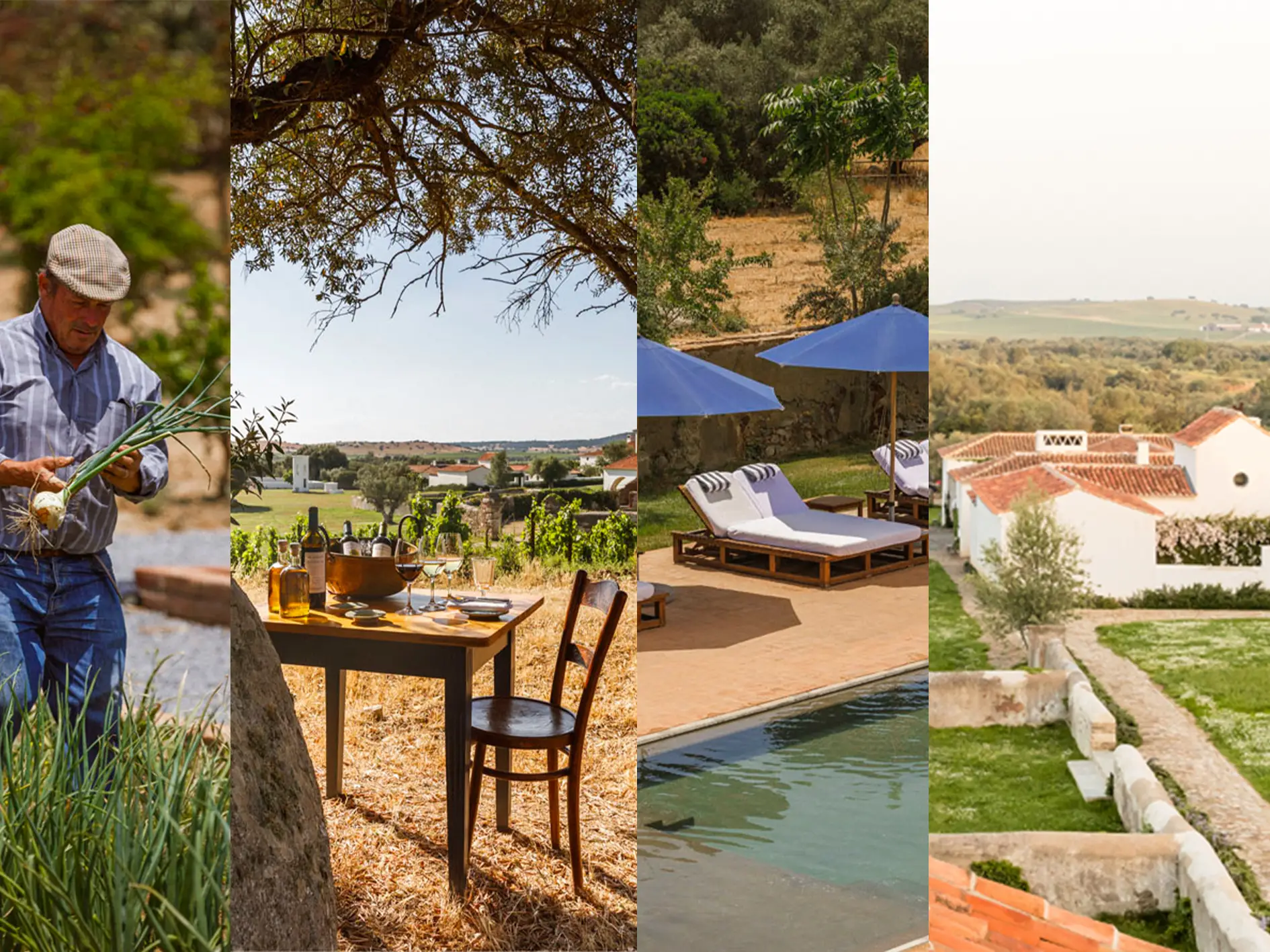 Farm-to-Table Luxury Hotels 2026: Inside Hospitality's Quiet Revolution 2 São Lourenço do Barrocal estate in Alentejo Portugal - farmer, vineyard, pool and traditional architecture