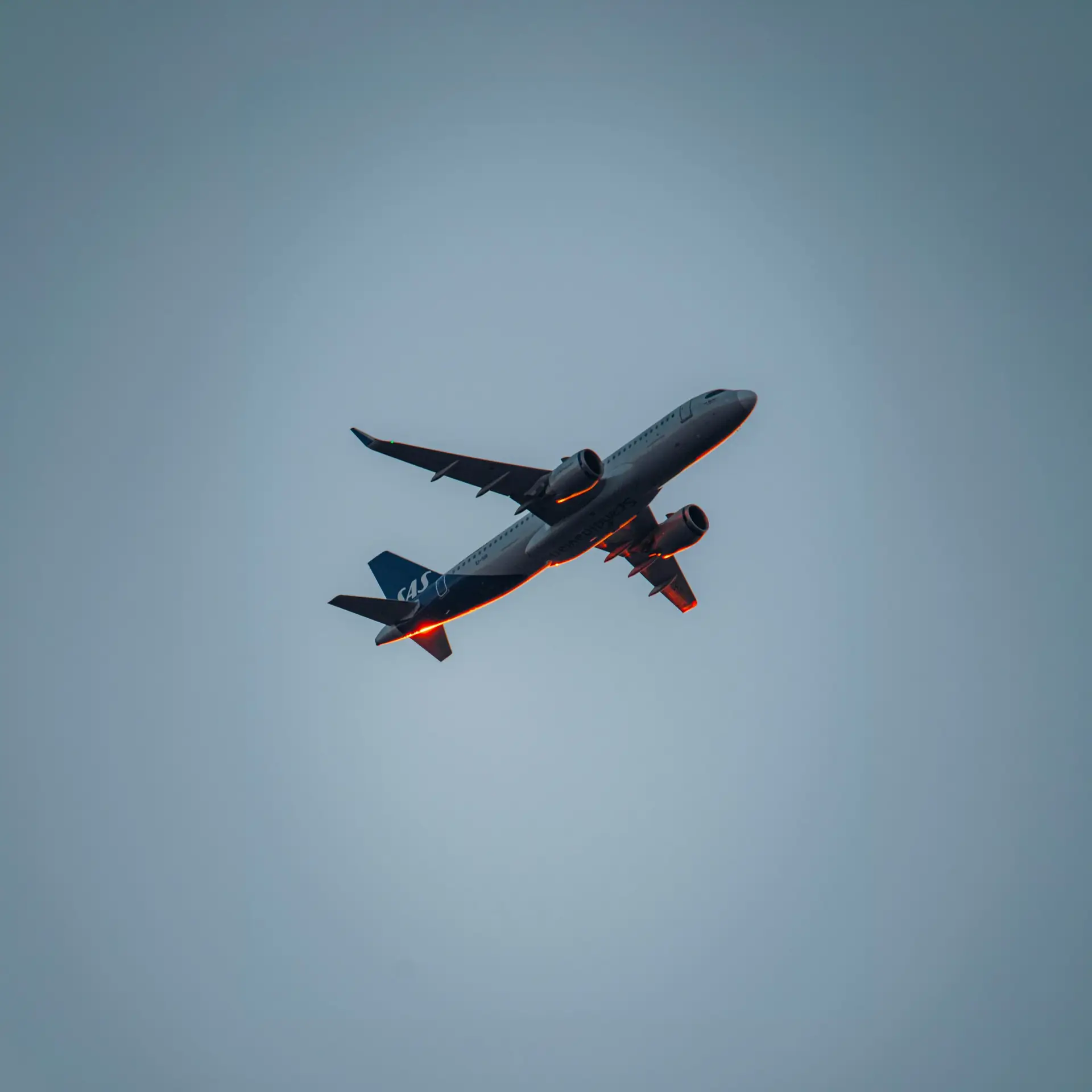 SAS most punctual airline 2026 - Scandinavian Airlines Airbus aircraft climbing at dusk