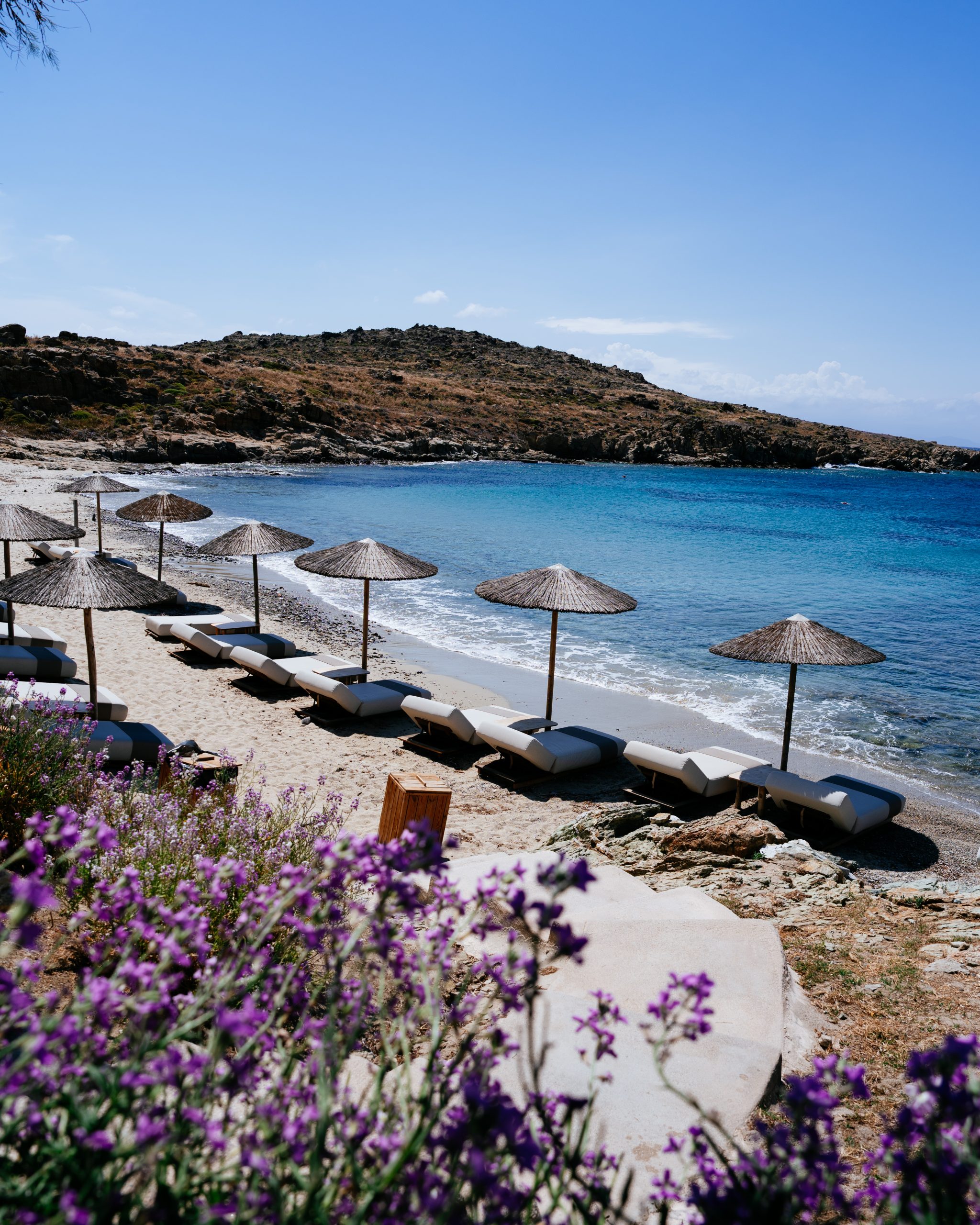 Casa Del Mar Mykonos: A Week on the Quiet Side of the Island 16 Thatched umbrellas and sun loungers along the sand at Glyfadi cove, Casa Del Mar Mykonos, with clear turquoise water, sheltering rocks and purple wildflowers in the foreground