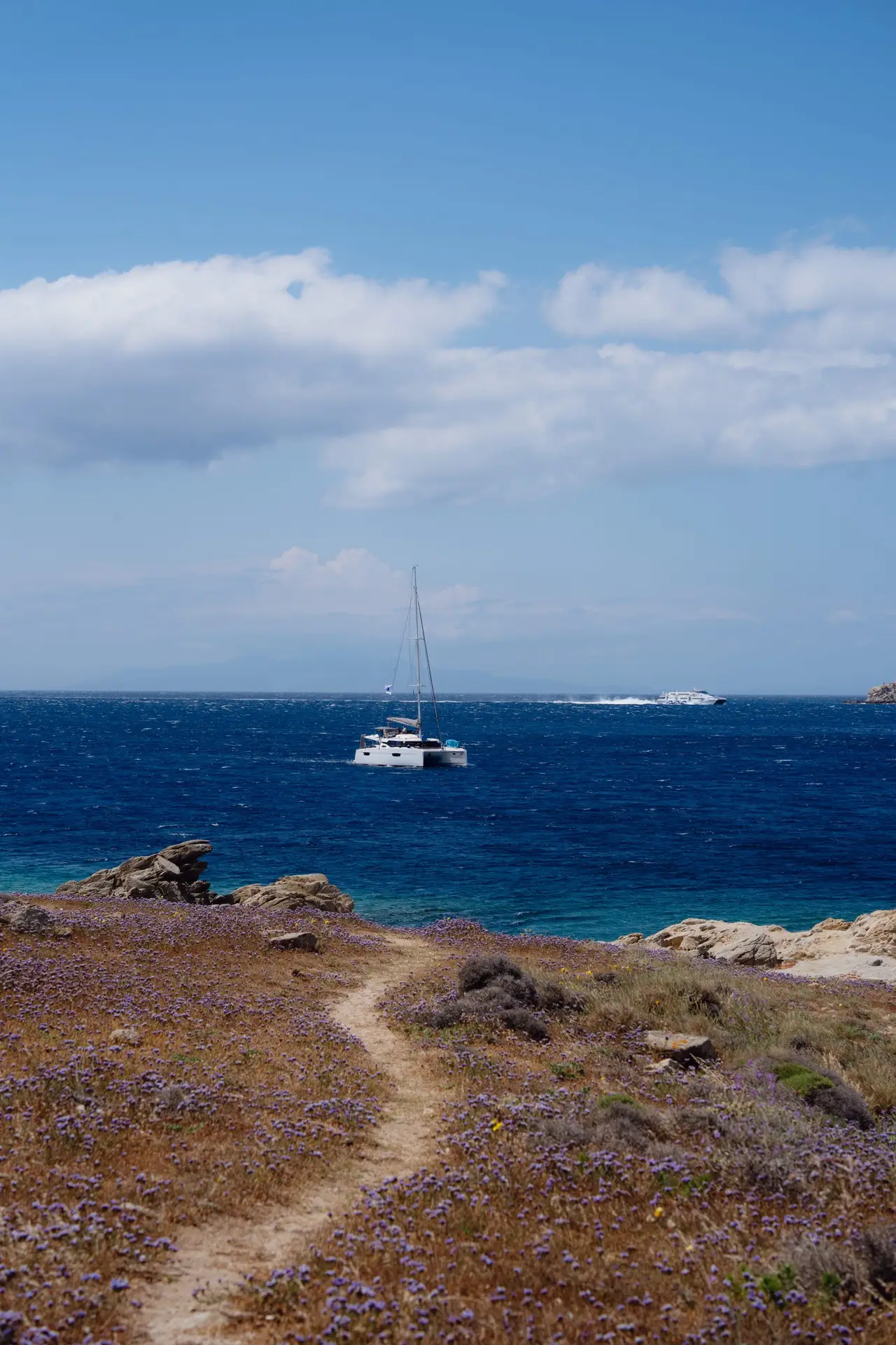 Casa Del Mar Mykonos: A Week on the Quiet Side of the Island 17 Footpath through purple wildflowers along the headland south of Glyfadi cove at Casa Del Mar Mykonos, looking out over the deep blue Aegean with a catamaran and a ferry on the water