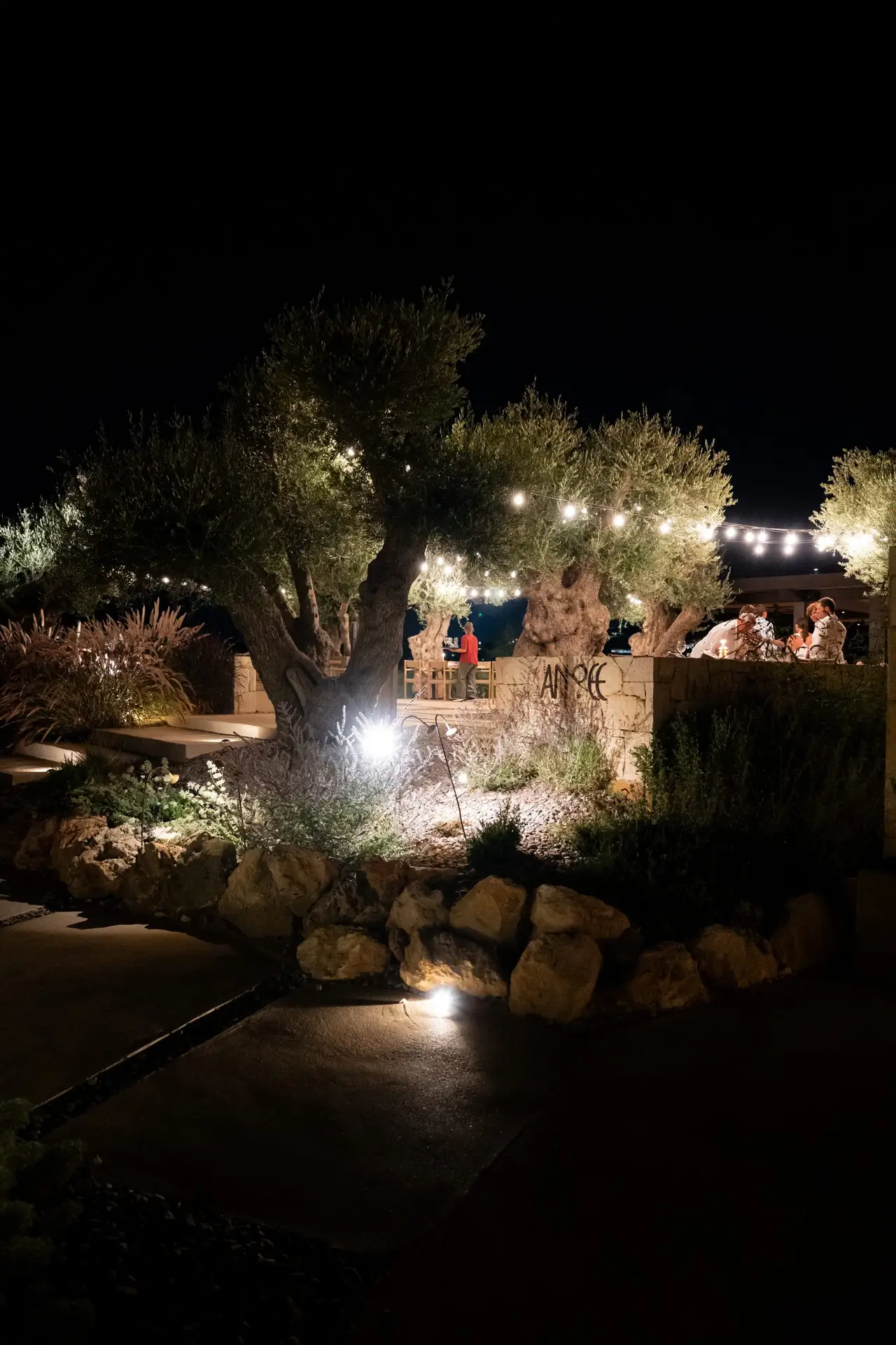 JW Marriott Crete Resort & Spa: The Complete Guide to Greece’s First JW Marriott 11 Anóee restaurant at JW Marriott Crete at night, with string lights strung through old olive trees above the stone terrace