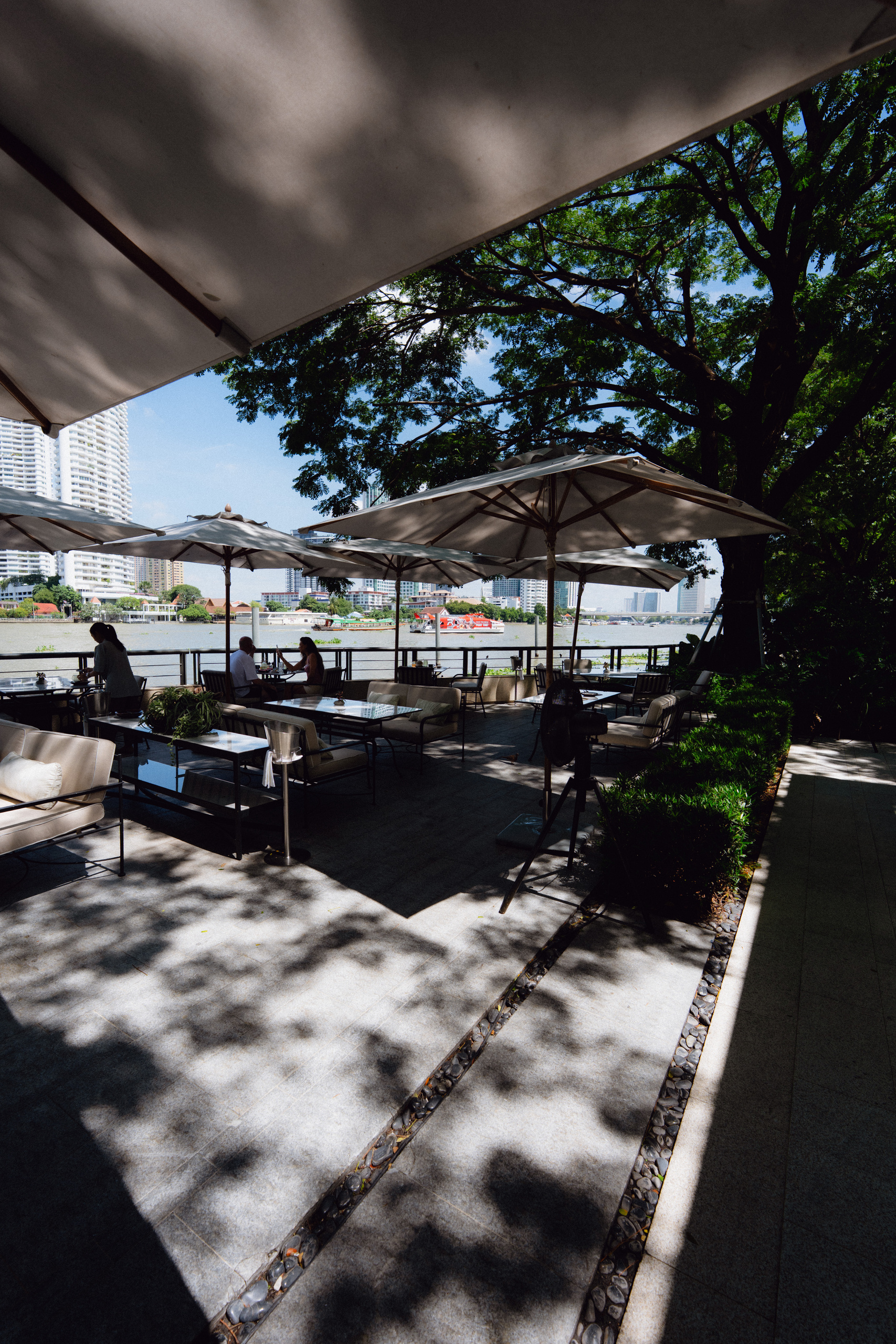 Shaded breakfast terrace with umbrellas under a large rain tree by the Chao Phraya River at Phra Nakhon, Capella Bangkok