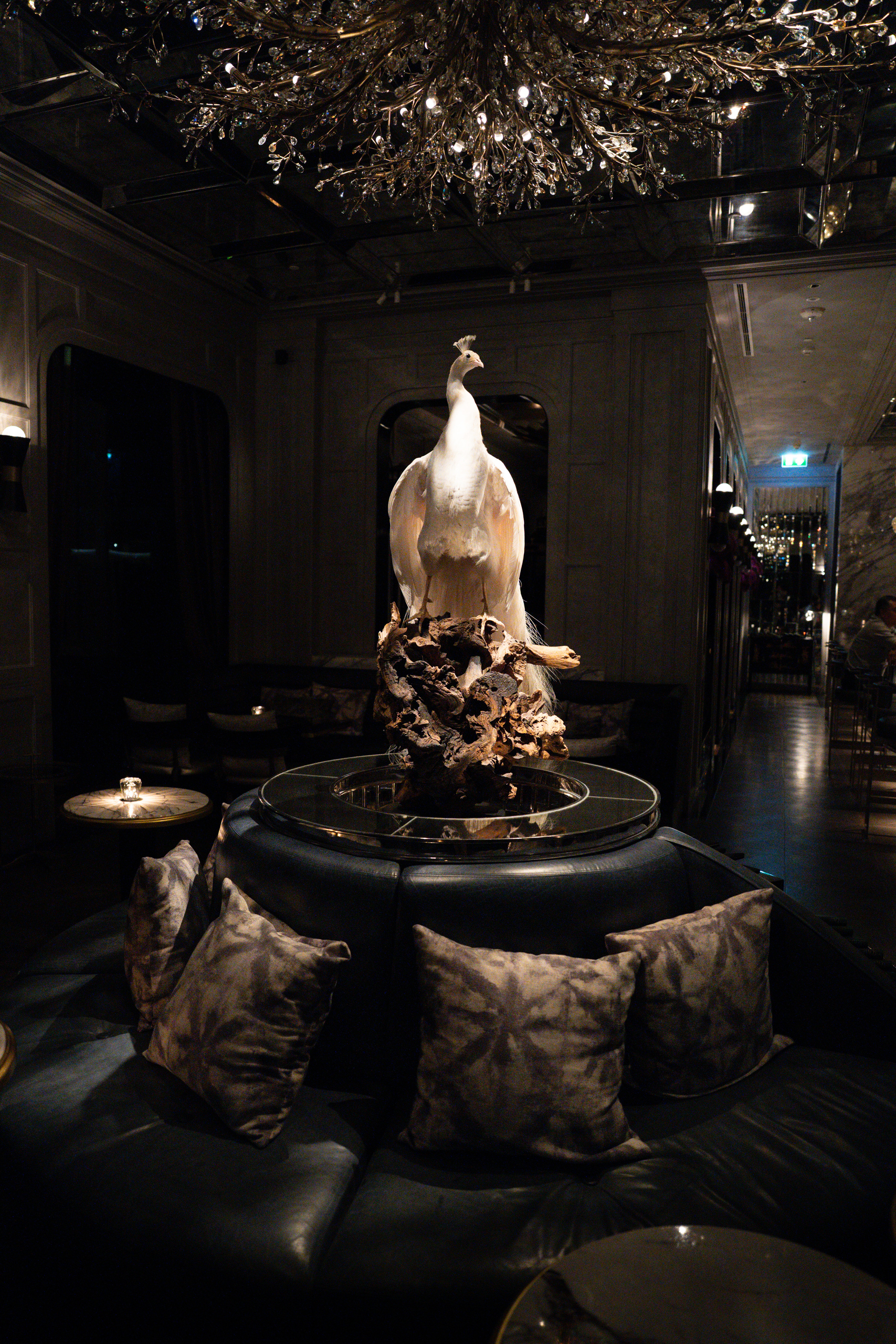 White peacock on driftwood under a crystal chandelier in the Stella bar at Capella Bangkok